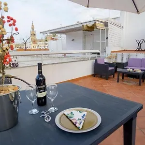 https://rentalsevilla-terraza-en-el-arenal.es-andalucia.com